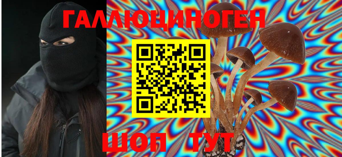 как найти наркотики  Вход с VPN  Псилоцибиновые грибы Psilocybine cubensis  Новоуральск  Галлюциногенные грибы Magic Shrooms 