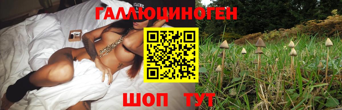 Галлюциногенные грибы Magic Shrooms Новоуральск