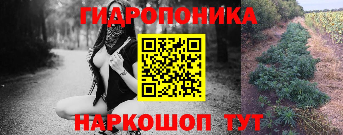 Новоуральск  Марихуана Ganja  Канабис конопля  Бошки марихуана план  Вход с VPN 